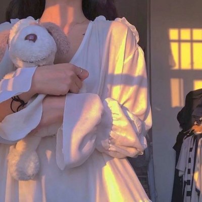 芝加哥警署第八季